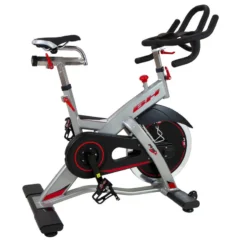 BH Fitness Bicicleta Ciclismo Indoor REX H921 Uso Profesional
